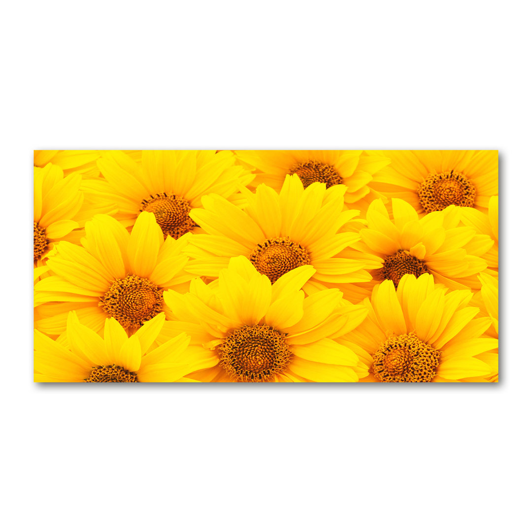 Sonnenblumen - Kunstdrucke auf Leinwand - Wrapped Canvas