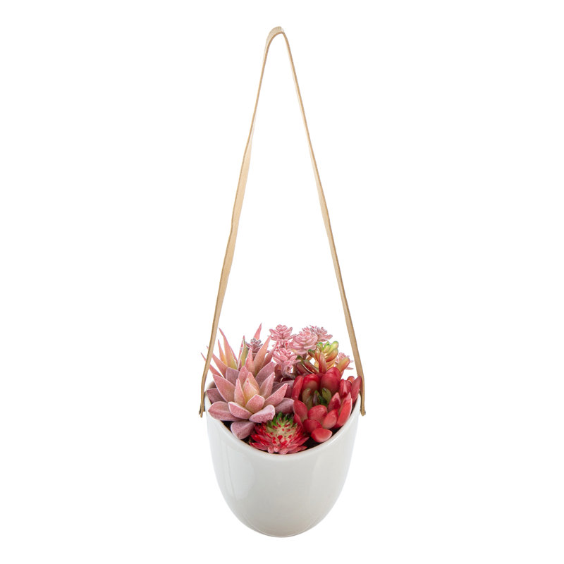 Wall Hanging Artificial Red Pink Succulent Plant
