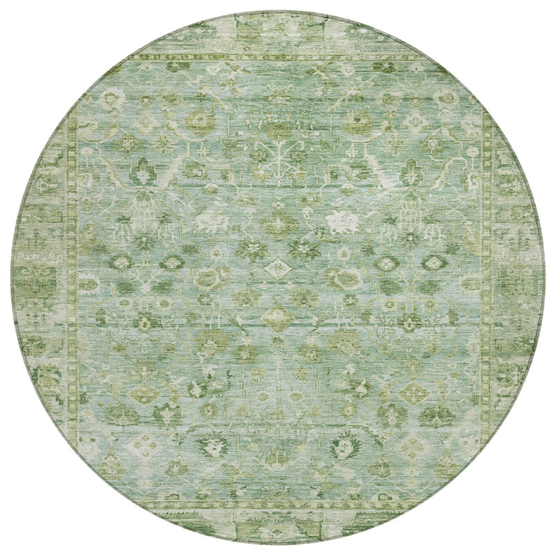 Machine Washable Indoor/Outdoor Xhevrie Aloe Rug, Round 8'
