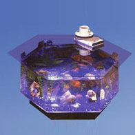 Claire 40 Gallons Octagon Coffee Table Aquarium