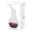 Sommelier Carafe