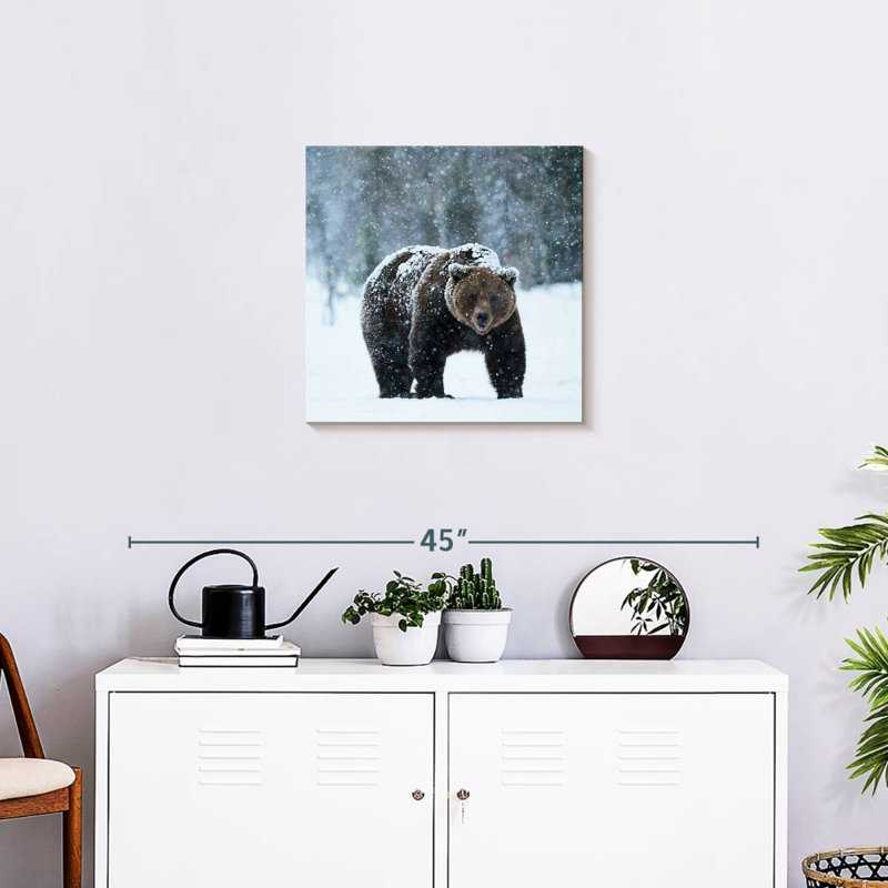 Crowle Winter Brown Bear, 20" H x 20" W