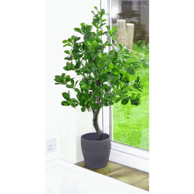 259.08cm Faux Tree in Pot Liner