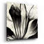 «Flowers Black White 3» par Ray Heere-101672421