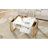 On-trend High Gloss Coffee Table With 2 Drawers, Hidden Compartments, Open Shelf, White, 41.3" X 23.6", Modern Design