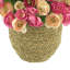 Ranunculus Arrangement in Strawgrass Pot
