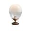 Table Lamp-1033056563-1033056560