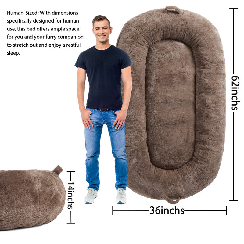 Ehlana Polyester Pet Bed, 14" H x 36" W x 62" D, Brown