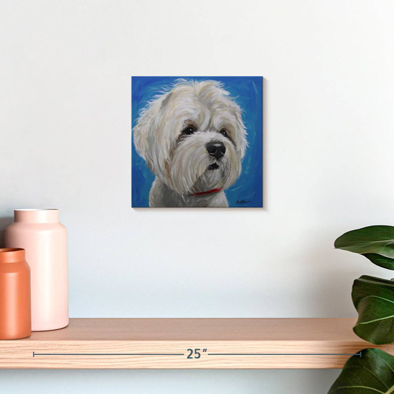 Corbeau maltais Shih Tzu Pipa, H 10 po x l 10 po