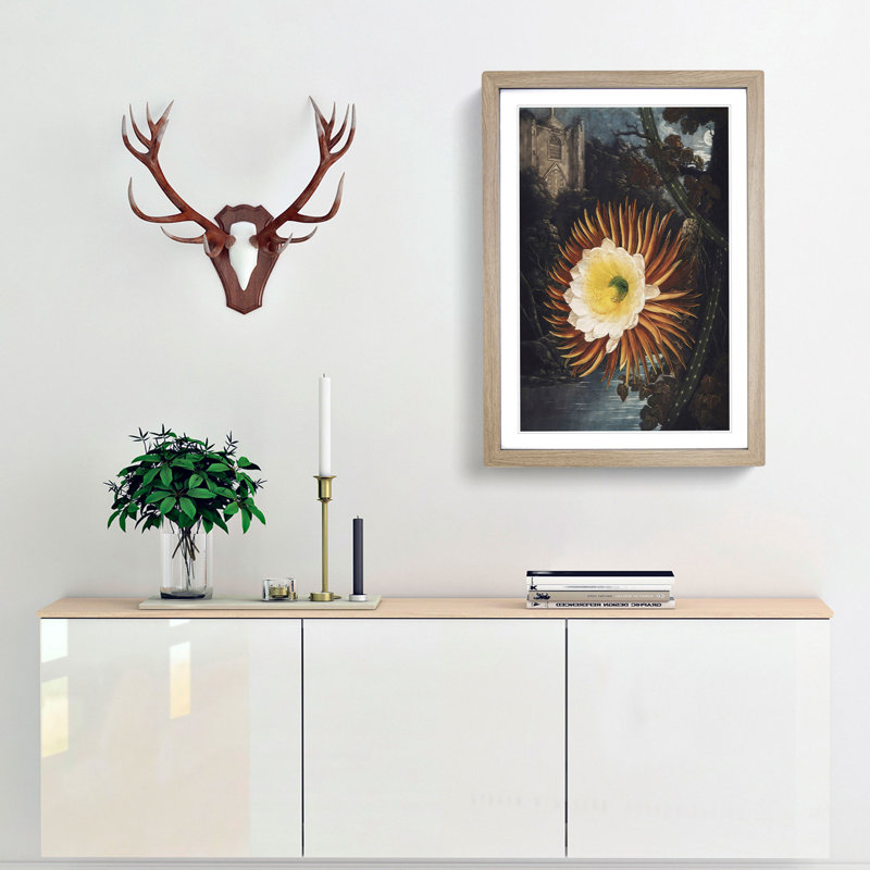 Blooming Cacti by R.J. Thornton - Picture Frame Painting Print, 48cm H x 36cm W x 2cm D, Oak Framed