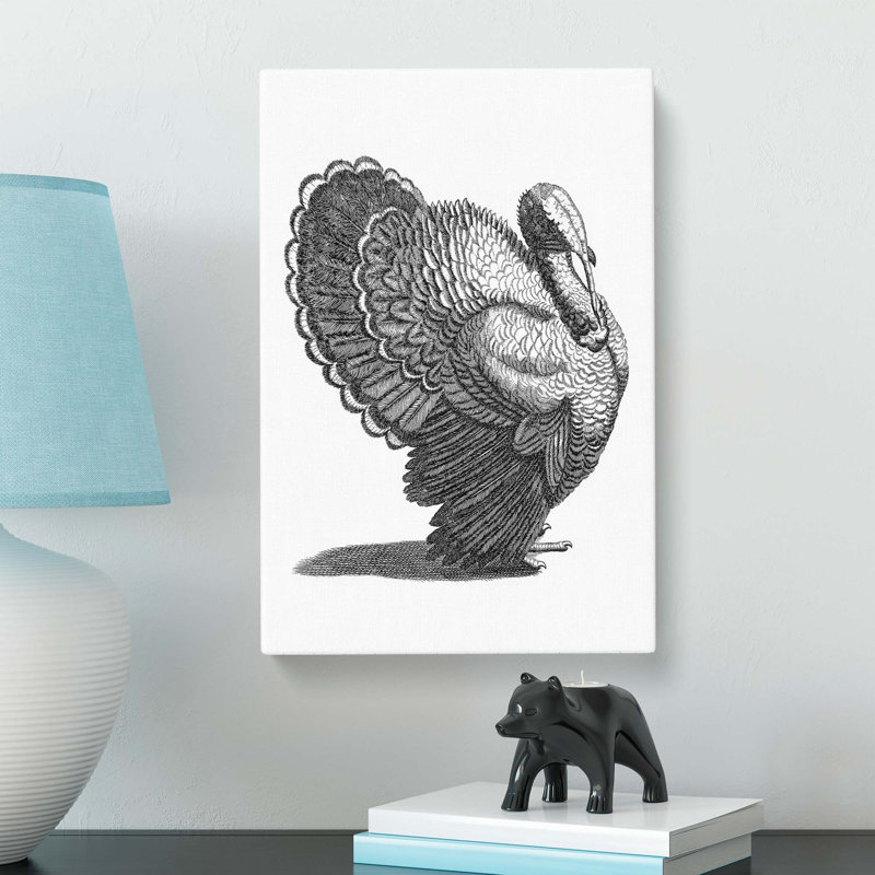 Turkey In Black & White by Johan Teyler - Wrapped Canvas, 76cm H x 50cm W x 3cm D