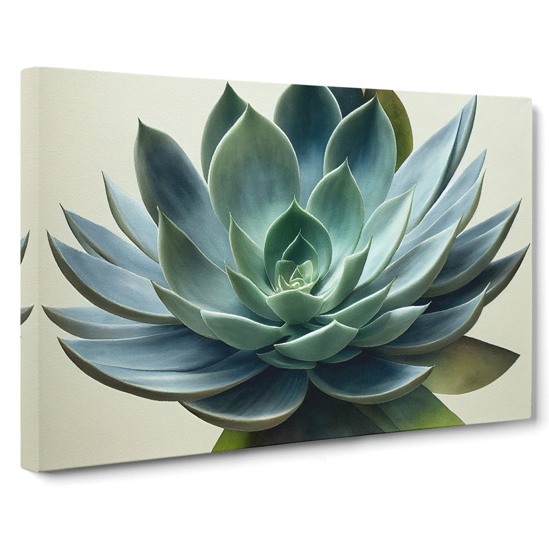 Watercolour Succulent Plant Vol.4 - Wrapped Canvas, 40cm H x 60cm W x 3cm D