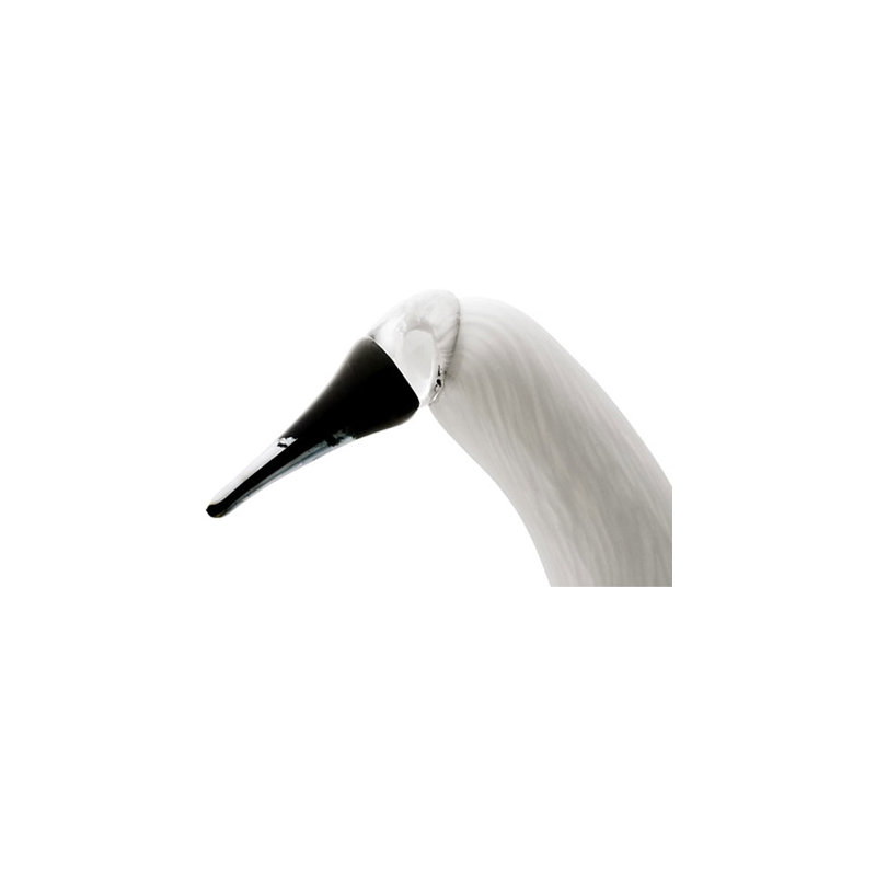 Birds by Toikka Whooper Swan Figurine, White
