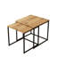 Nesting Table (2 Pieces)
