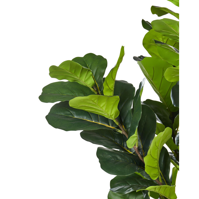 162cm Faux Fiddle Leaf Fig Tree in Planter