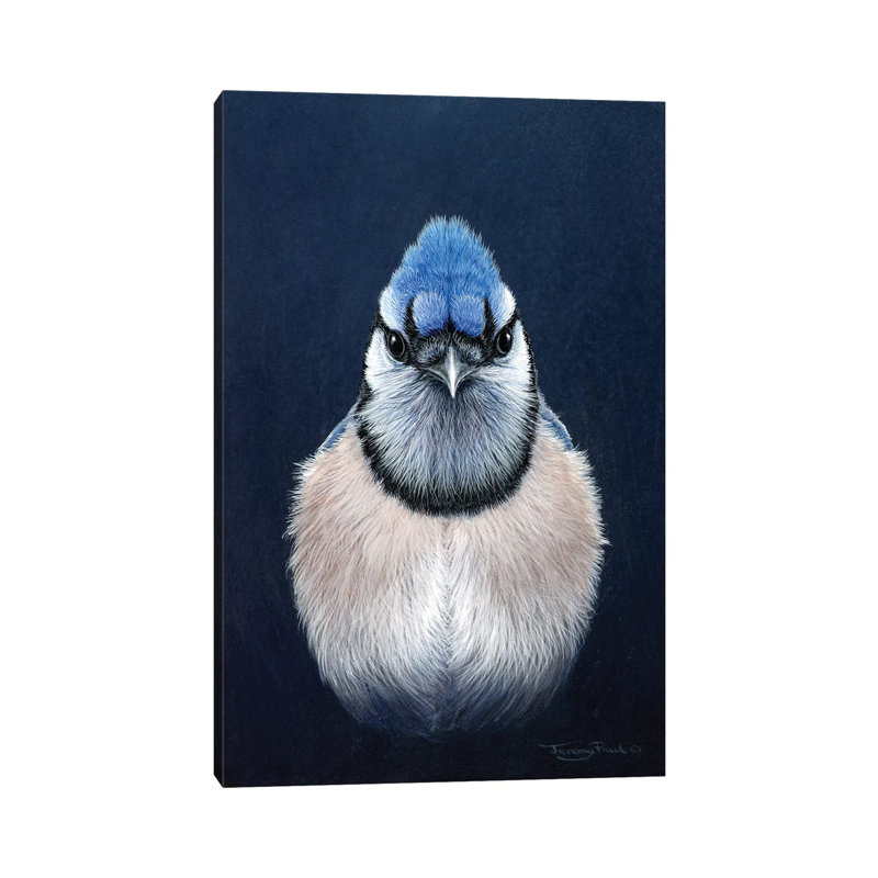 «Blue Jay» par Jeremy Paul - impression sur toile tendue, H 18 po x l 12 po x 1,5 po
