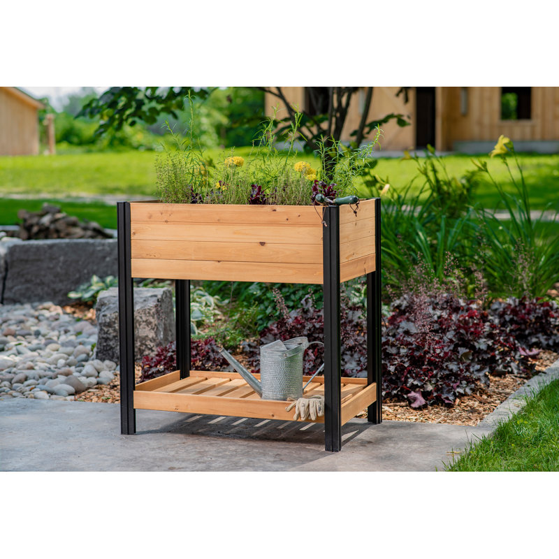 Mezza 42" Cedar Raised Herb Garden Bed with Black Aluminum Posts
