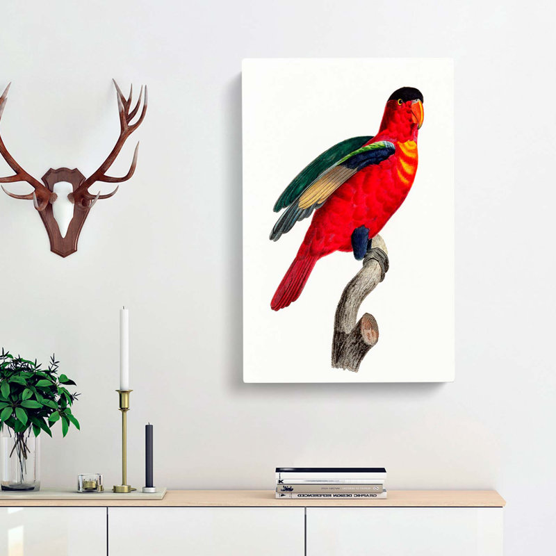 A Purple-Naped Lory by F. Levaillant - Wrapped Canvas Painting, 50cm H x 35cm W x 3cm D