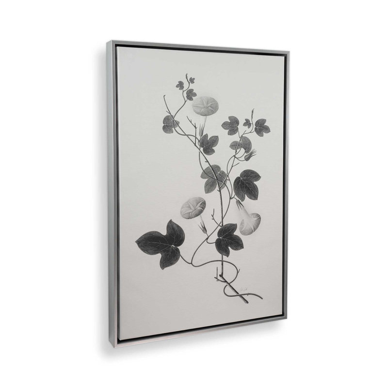 «Botanical VI» par Deborah Revell, reproduction d'art sur toile, Argent argent, Cadre flottant, H 30 po x l 20 po