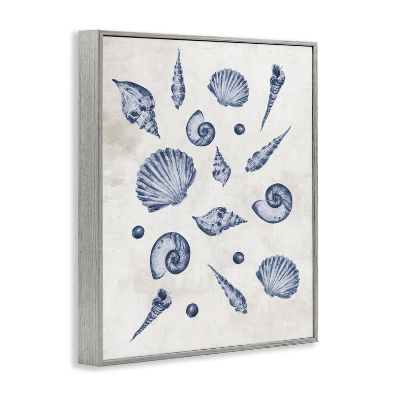 Giclée encadrée à motif de coquillages variés, conception de Jacob Q, H 14 po x l 11 po, Estampe numérique Farmhouse