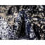 Tapis floral Brandt-124453812-25804765