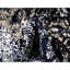 Tapis floral Brandt-124453812-25804766