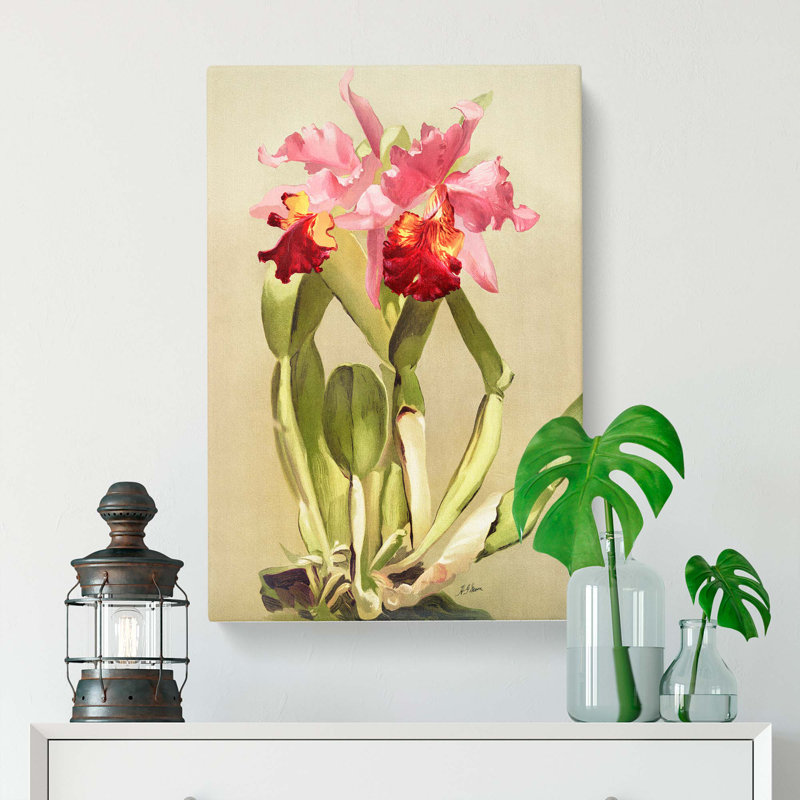 Magnolia Flowers Illustration Tab. 55 by Frederick Sander - Wrapped Canvas Print, 76cm H x 50cm W x 3cm D