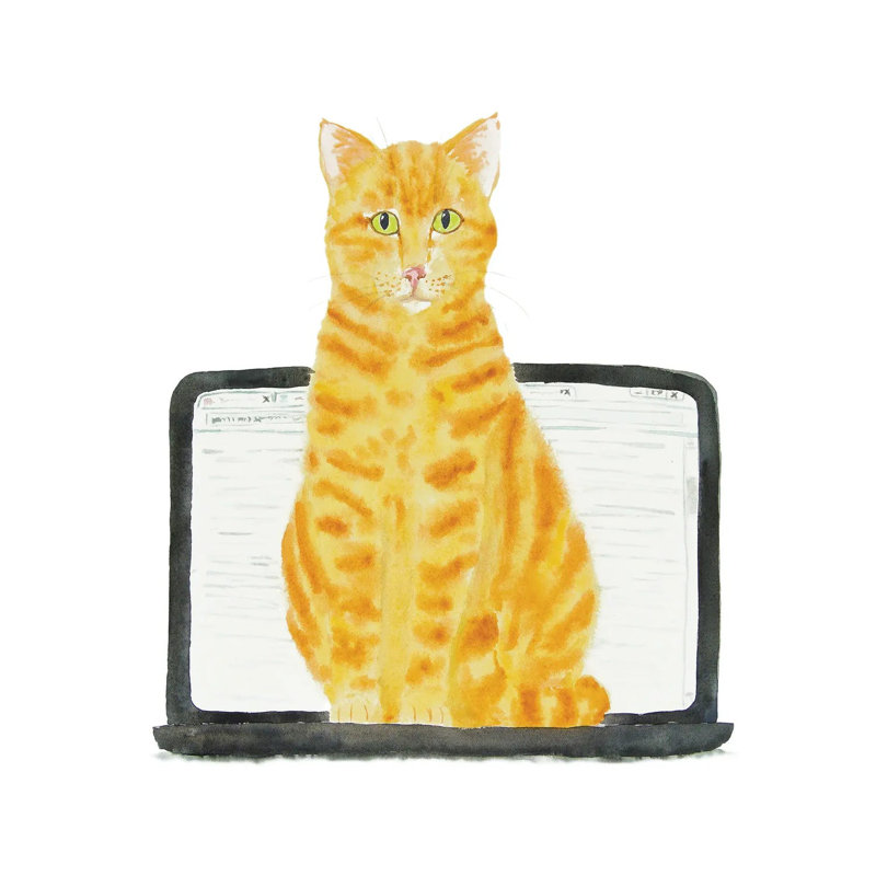 Orange Cat On Laptop 1 Piece Wrapped Canvas Wall Art, 93.98 cm H x 93.98 cm W x 1.91 cm D