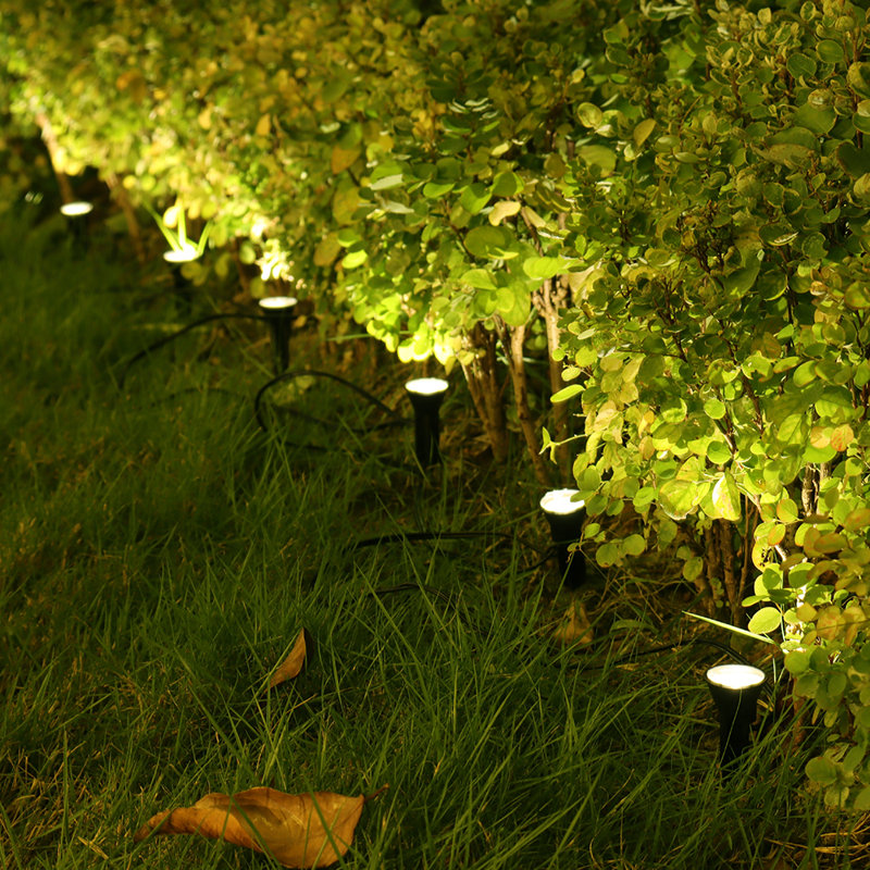 Black Solar Powered Metal Pathway Light
