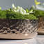 0'' Faux Fir Plant-1312159775