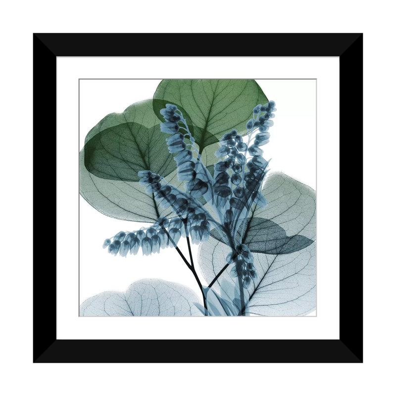 «Lilly of Eucalyptus II» par Albert Koetsier, reproduction sur toile tendue sur châssis, H 16 po x l 16 po x P 1 po, Blanc