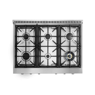 Grille à gaz 27,25 po avec 6 brûleurs