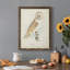 Toile encadrée de qualité supérieure Barn Owl - prête à être accrochée-2049563839-2049563838