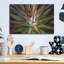 «Succulent VI» par Dennis Frates-830196071
