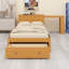 Le lit plateforme avec bureau et rangement intégrés présente un style moderne avec de larges tablettes de tête de lit-2136603250