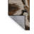 Machine Washable Dinosaurs Brown Area Rug