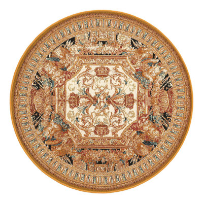 Indoor/Outdoor Traditional Area Rug