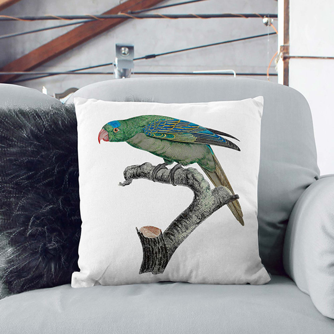 Blue-Naped Parrot by F. Levaillant Cushion with Filling