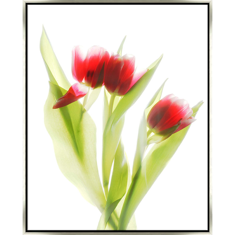 Red Tulips III - Framed, Small