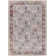 Infinity Oriental Indoor Rug