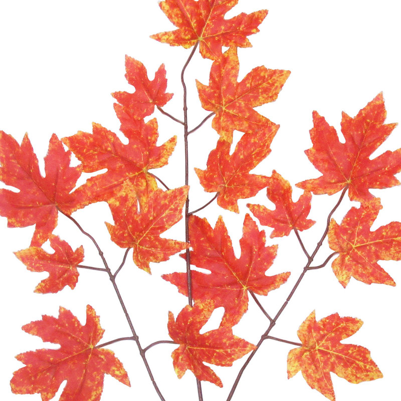 Rock Maple Spray Branch, Orange
