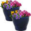 Pot à fleurs extérieur rond en céramique Ailynn-215457970-215457968