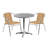 DuJuan 31.5'' Round Aluminum Indoor-Outdoor Table Set with 2 Rattan Chairs-24678267-95054460