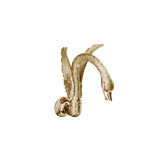 Swan Wall Mounted Bathroom Faucet