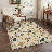 Cogswell Floral Poppy Machine Washable Begie/Green/Yellow Indoor Area Rug With Non-Slip Backing-1953341003