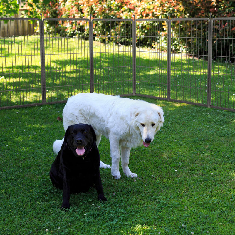 Parc pour chien FXW Aster conçu pour la cour, 24 pouces, 8 panneaux, H 24 po x l 45,6 po x P 45,6 po