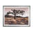 " Joshua Tree "-53844697-53743360