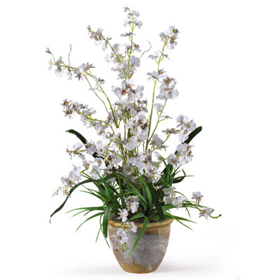 Orchids Arrangement in Pot