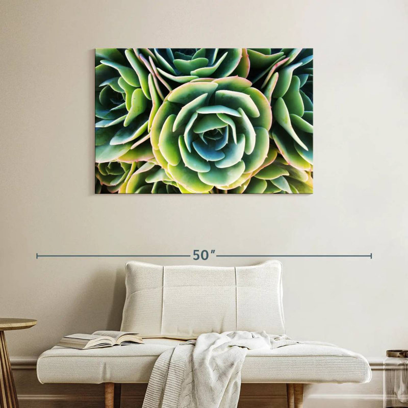 Harnek Succulent Rose, 26" H x 39" W
