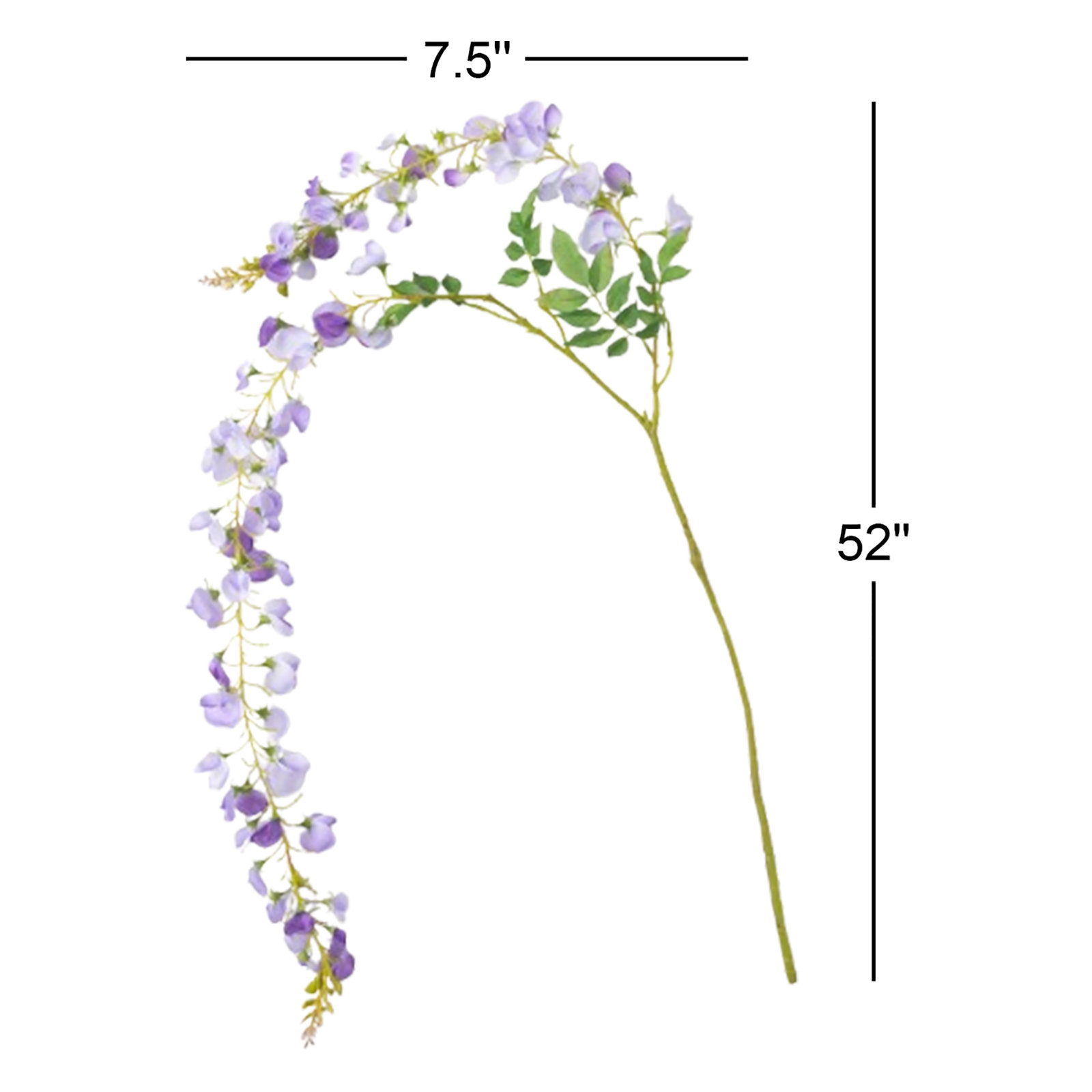 52" Precious Purple Wisteria